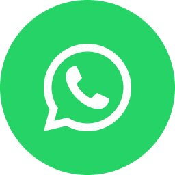 WhatsApp icon